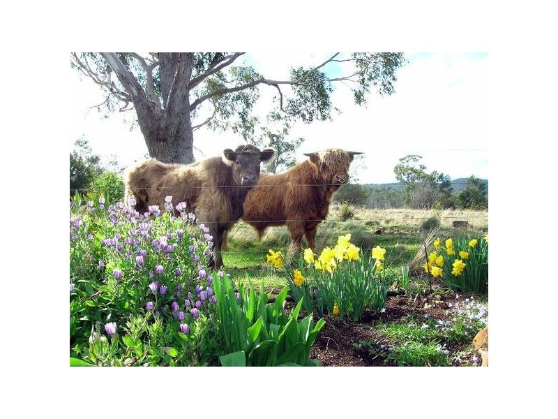 853 Logan Road, Evandale TAS 7212