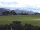 41 Piper Avenue, Youngtown TAS 7249