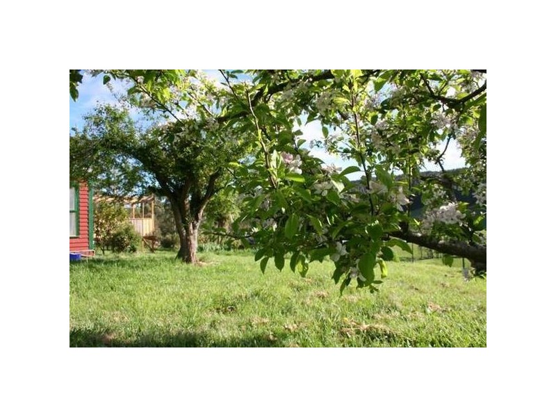 181 Browns Road, Lilydale TAS 7268