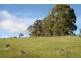 181 Browns Road, Lilydale TAS 7268
