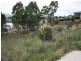 20 Clearview Avenue, Trevallyn TAS 7250