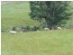 1835 Frankford Road, Frankford TAS 7275