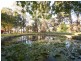 228 Leighlands Road, Evandale TAS 7212