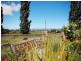 33 Collins Street, Evandale TAS 7212