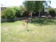 64 Hobhouse Street, Longford TAS 7301
