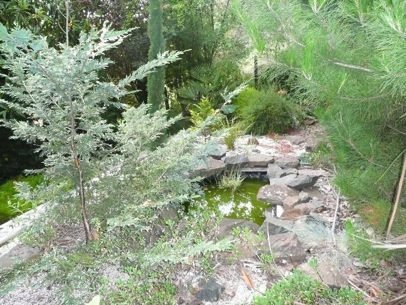 18 Forest Road, Trevallyn TAS 7250