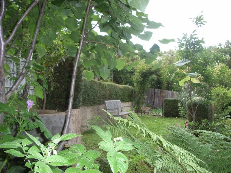 13 Thomas Street, Launceston TAS 7250
