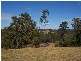 Werombi NSW 2570