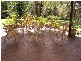 Orangeville NSW 2570