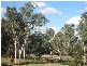 9 YOUNG STREET, Camden Park NSW 2570