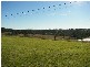Orangeville NSW 2570