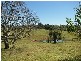 Orangeville NSW 2570