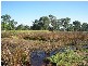 Catherine Field NSW 2557