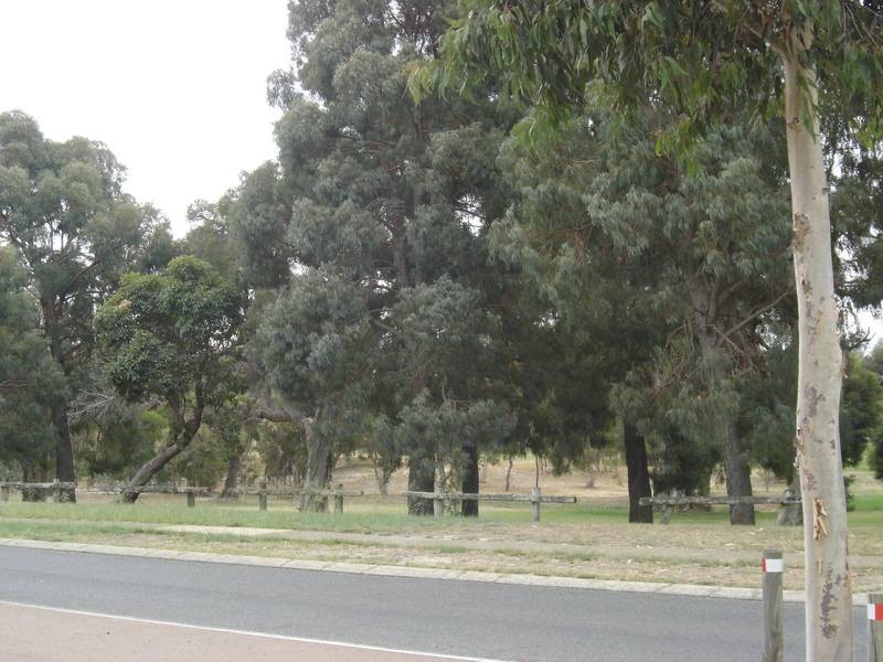 53 Greenpark Road, Alexander Heights WA 6064