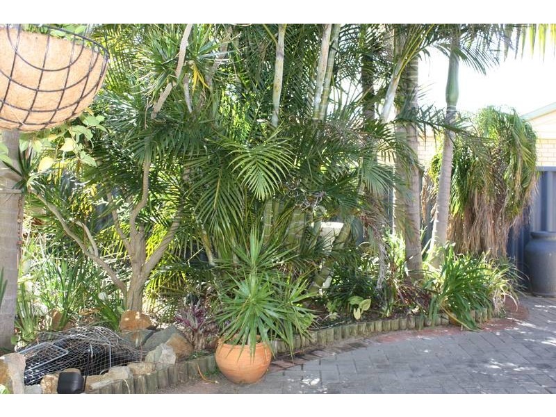 29/53 Westgate Way, Marangaroo WA 6064