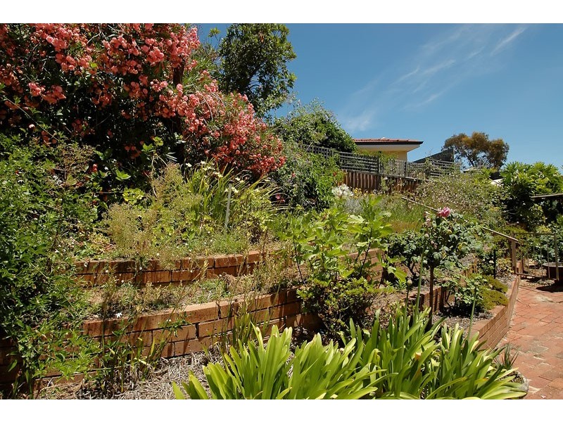 22 Chancery Lane, Alexander Heights WA 6064