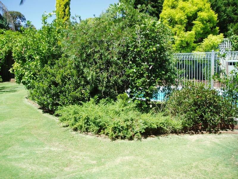 9 Waterloo Court, Alexander Heights WA 6064