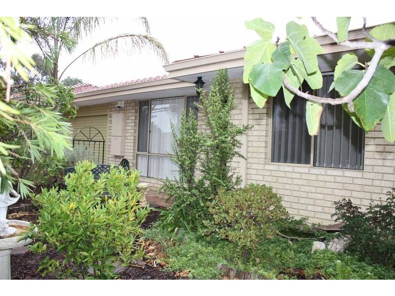 84 Avila Way, Alexander Heights WA 6064