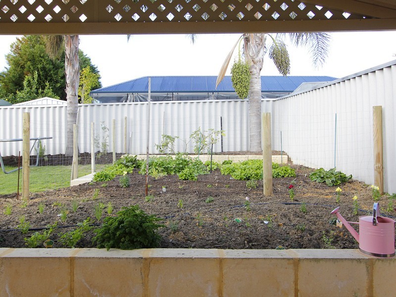 3 Bartle Lane, Alexander Heights WA 6064