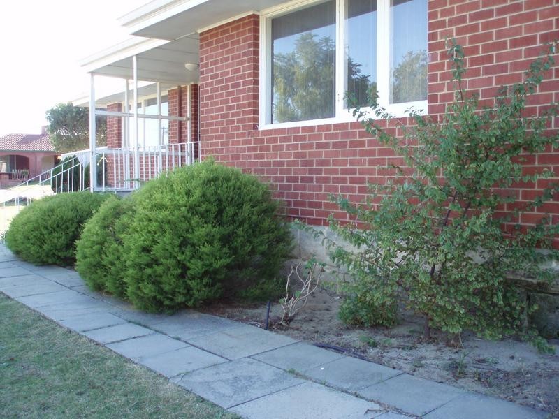 25 Knowles Street, Balcatta WA 6021