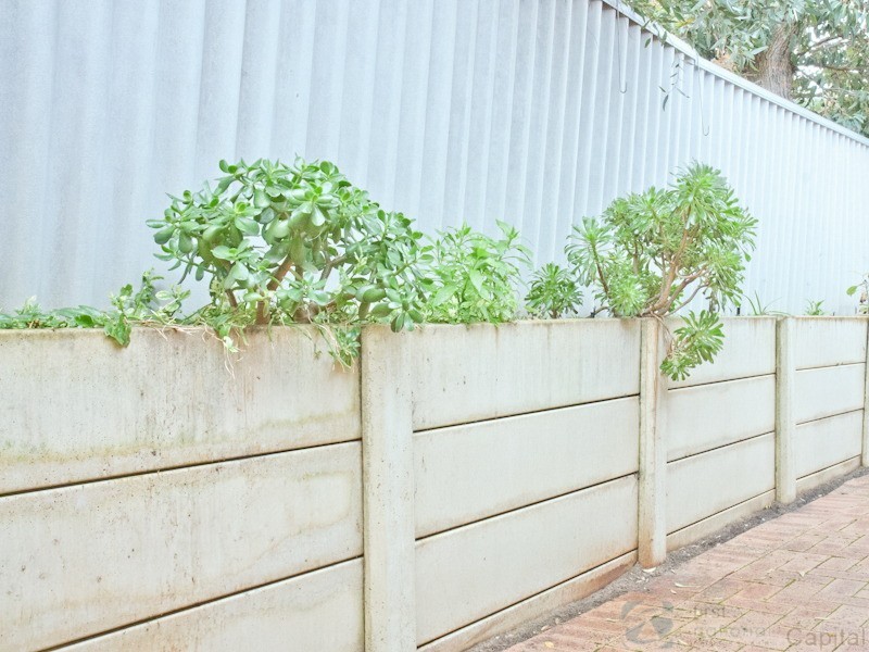 4/81 Azelia Street, Alexander Heights WA 6064