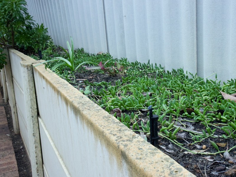 4/81 Azelia Street, Alexander Heights WA 6064