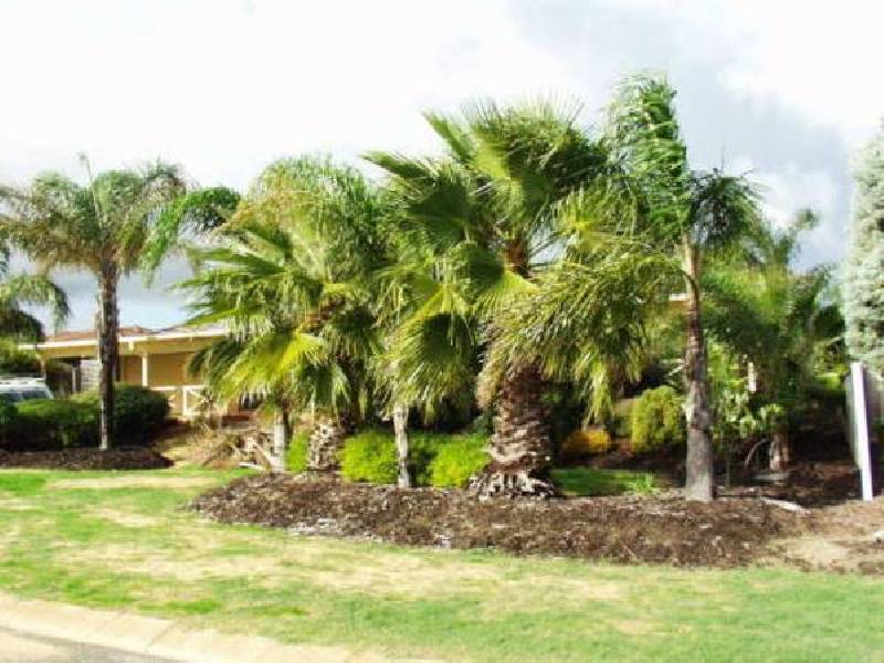 10 Gould Place, Marangaroo WA 6064