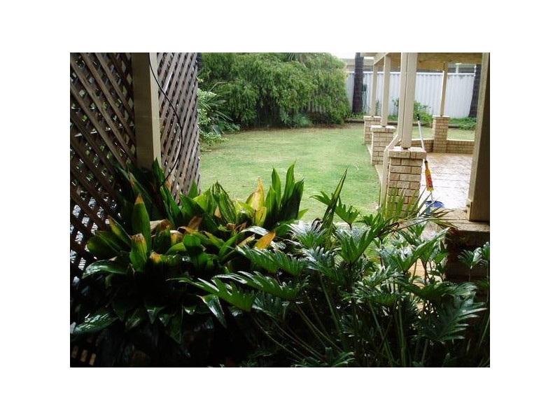 39 Chichester Avenue, Woodvale WA 6026