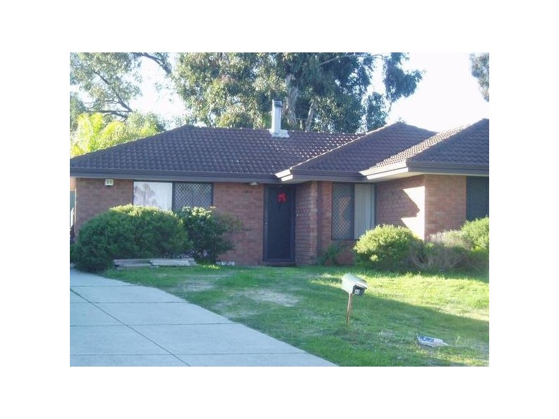42 Dampier Loop, Mirrabooka WA 6061