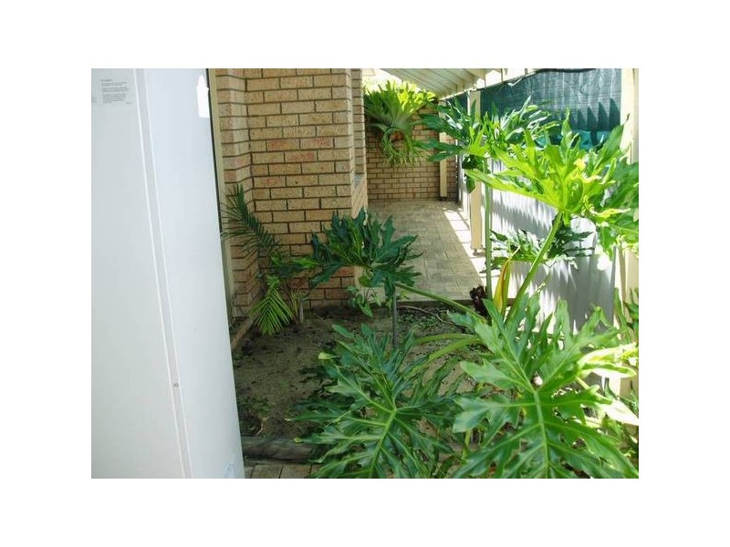 37 Marianne Way, Alexander Heights WA 6064