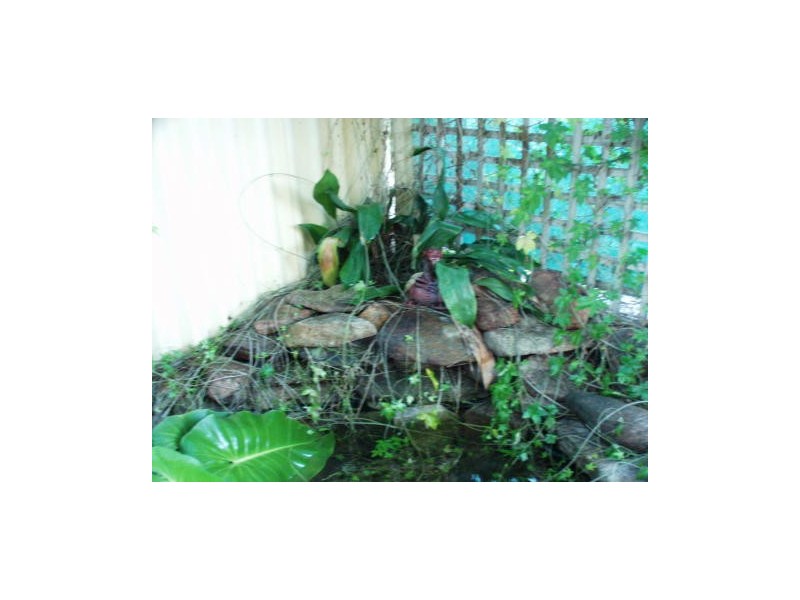 56 Nottingham Gardens, Ballajura WA 6066