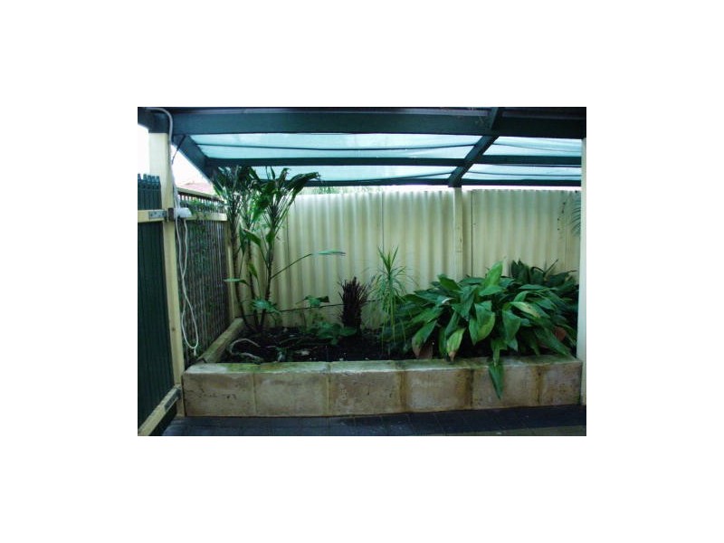 56 Nottingham Gardens, Ballajura WA 6066