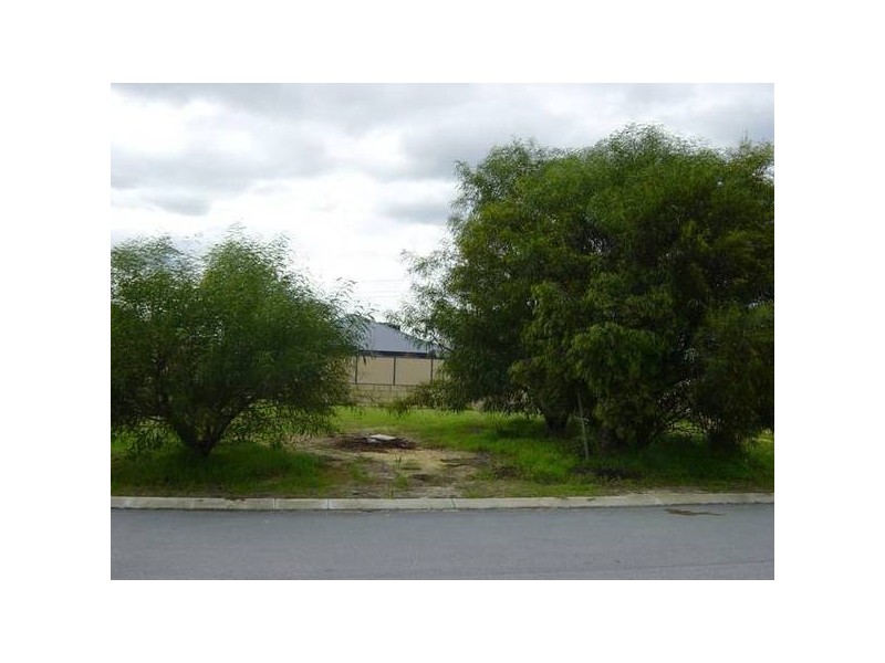 Watson Rd, Wanneroo WA 6065