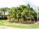10 Gould Place, Marangaroo WA 6064