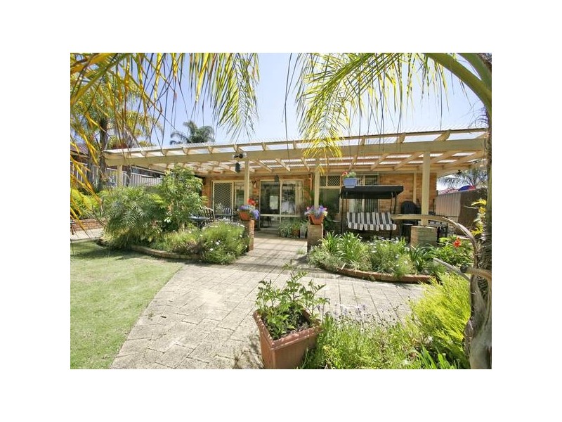 88 Azelia St, Alexander Heights WA 6064