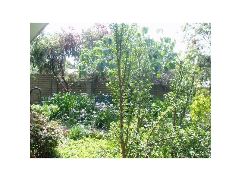 84 Avila Way, Alexander Heights WA 6064