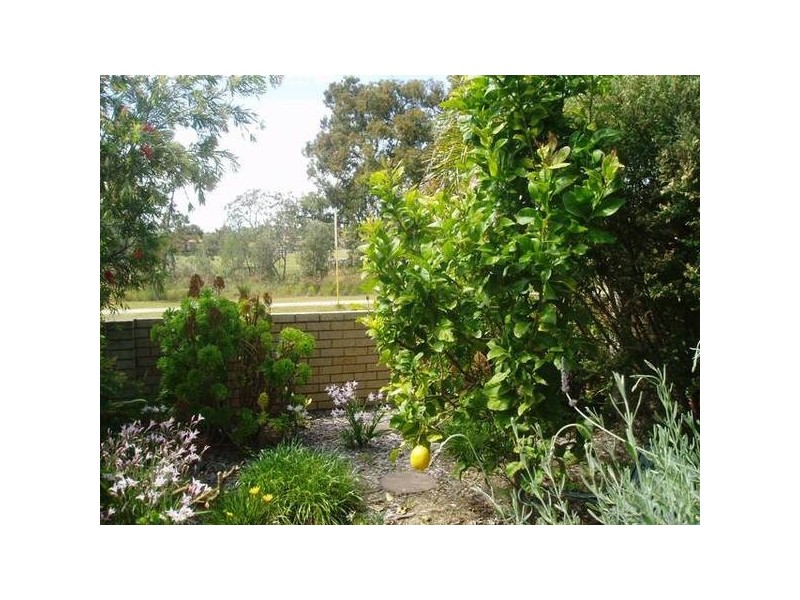 84 Avila Way, Alexander Heights WA 6064