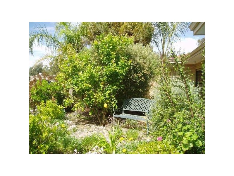 84 Avila Way, Alexander Heights WA 6064