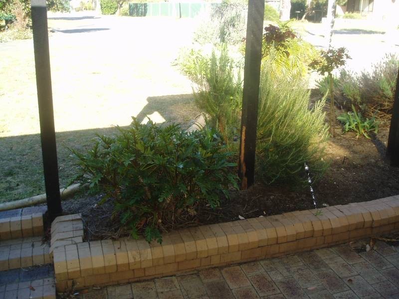 8 Logue Court, Balga WA 6061