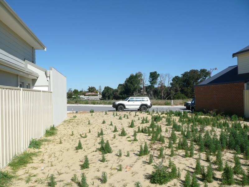 5 TRENTHAM ROAD, Landsdale WA 6065