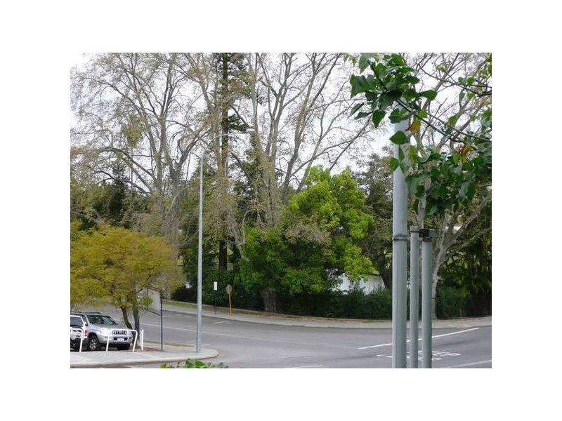 29 FORREST AVENUE, East Perth WA 6004