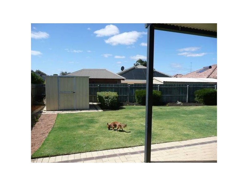 63 CANTRELL CIRCUIT, Landsdale WA 6065