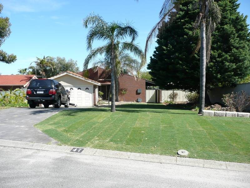 47 NEWGATE STREET, Alexander Heights WA 6064