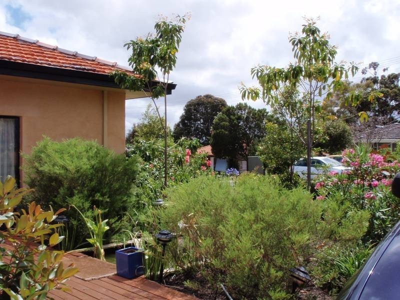 35 Morgan Way, Girrawheen WA 6064