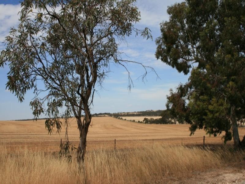 45 North Terrace, Maitland SA 5573