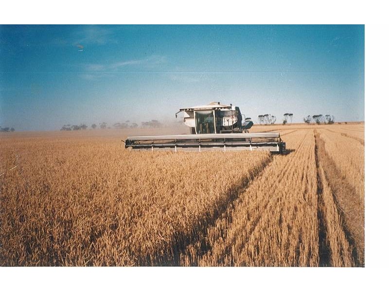 Lot 2 Hundred Muloowurtie, Ardrossan SA 5571