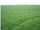 Lot 2 Hundred Muloowurtie, Ardrossan SA 5571