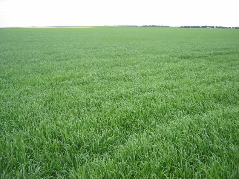 Lot 2 Hundred Muloowurtie, Ardrossan SA 5571