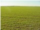 Lot 2 Hundred Muloowurtie, Ardrossan SA 5571