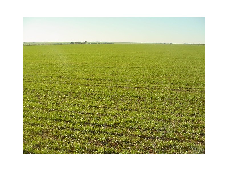 Lot 2 Hundred Muloowurtie, Ardrossan SA 5571